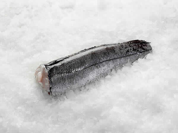 Merluza del Cabo Merluza del Cabo